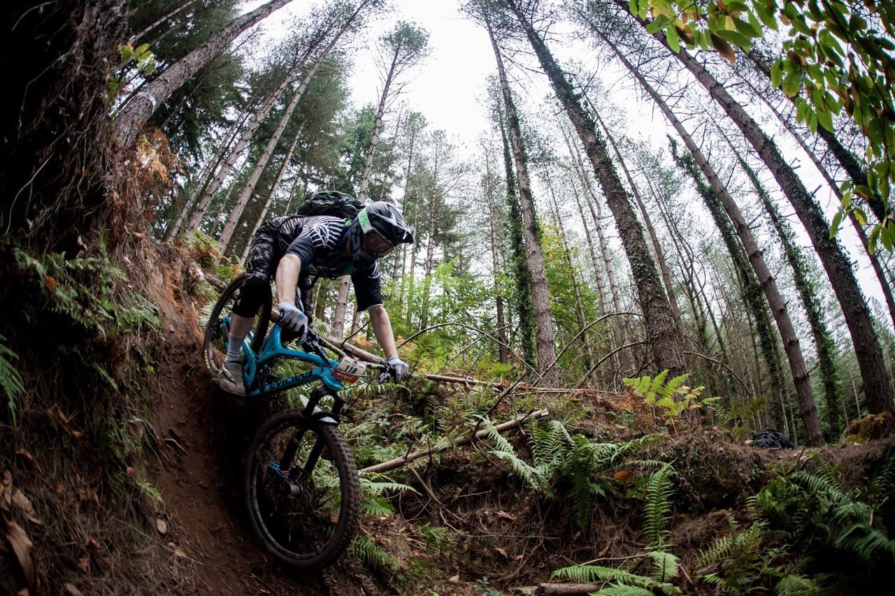 Mountain biking through woodland trails